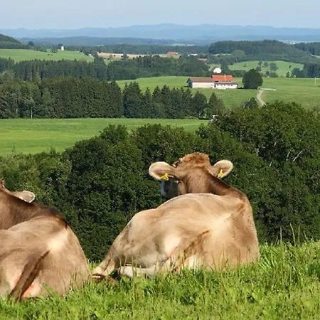 Riedesser Lägenhet Vogt