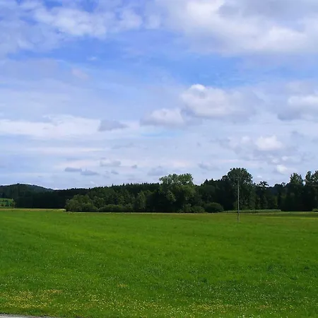 Riedesser * Vogt